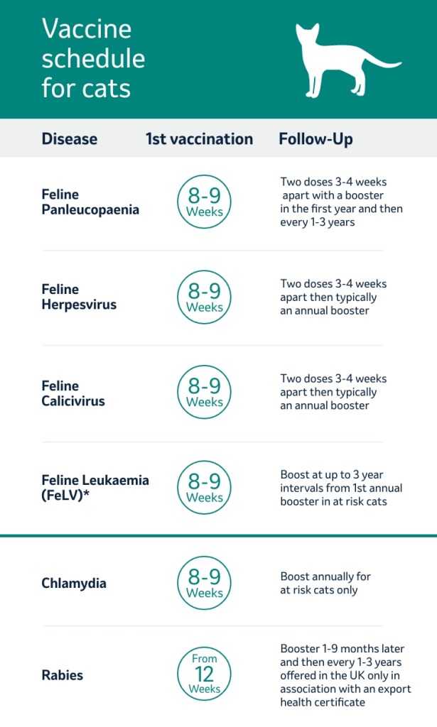 Vaccine Schedule for Cats