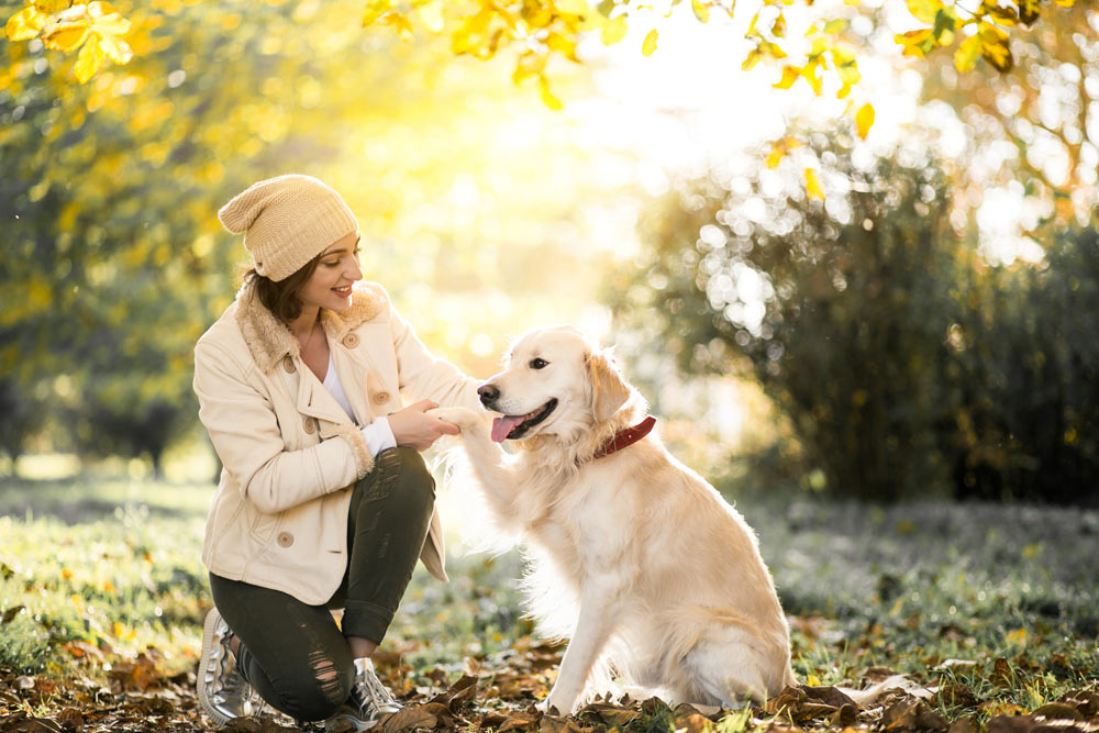 Pet care advice and top tips from MyPet to your pet