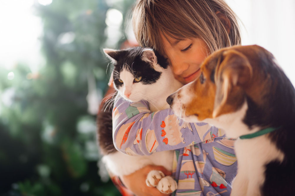 Join MyPet for Expert Pet Care Tips
