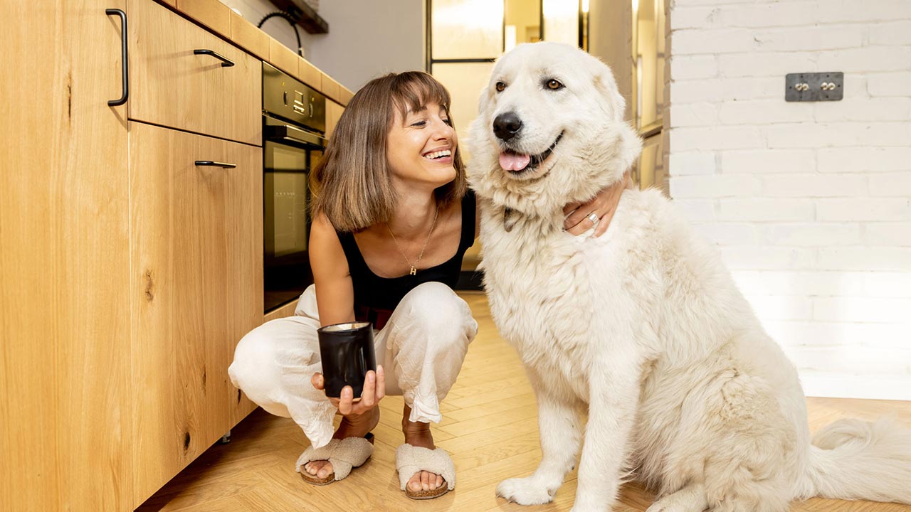 Pet Behaviour Tips To Understand Your Pet Better